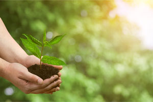 Environmentally friendly